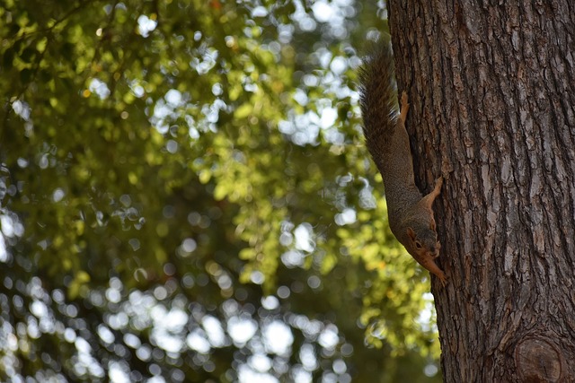 攻守两端都拉满